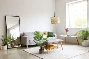 Interior of light living room with comfortable sofa, houseplants and mirror  construction companies new orleans